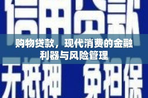 龙文购物贷款，现代消费的金融利器与风险管理