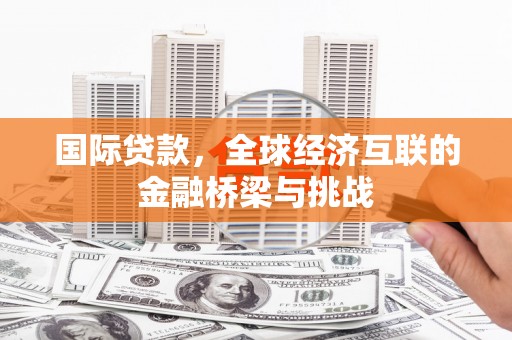 龙文国际贷款，全球经济互联的金融桥梁与挑战