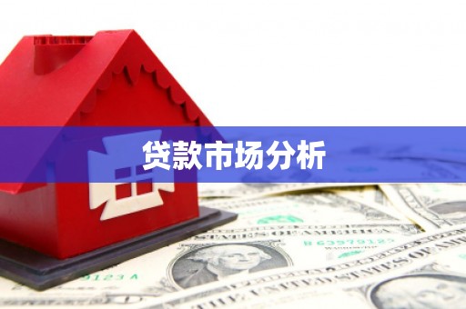 龙文贷款市场分析