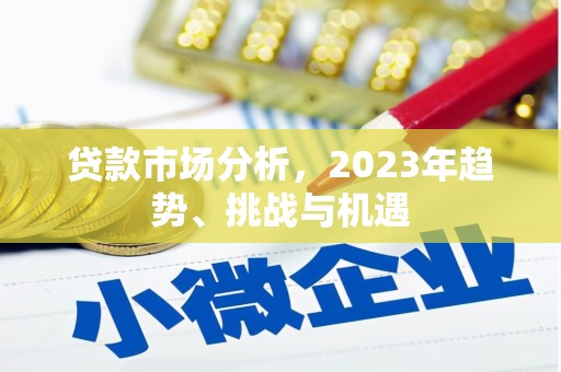 龙文贷款市场分析，2023年趋势、挑战与机遇