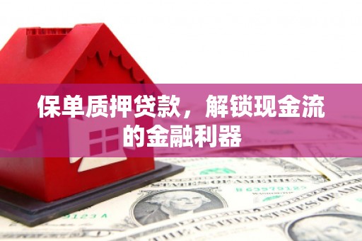 龙文保单质押贷款，解锁现金流的金融利器