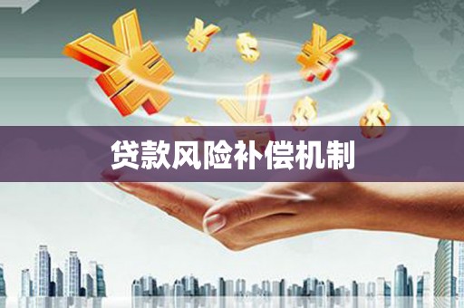龙文贷款风险补偿机制