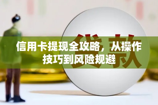 龙文信用卡提现全攻略，从操作技巧到风险规避