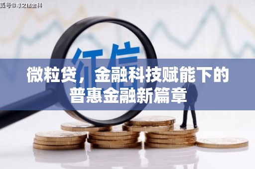 龙文微粒贷，金融科技赋能下的普惠金融新篇章