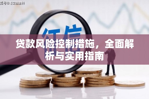 龙文贷款风险控制措施，全面解析与实用指南