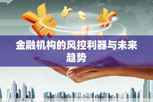 龙文金融机构的风控利器与未来趋势