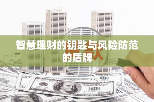 龙文智慧理财的钥匙与风险防范的盾牌