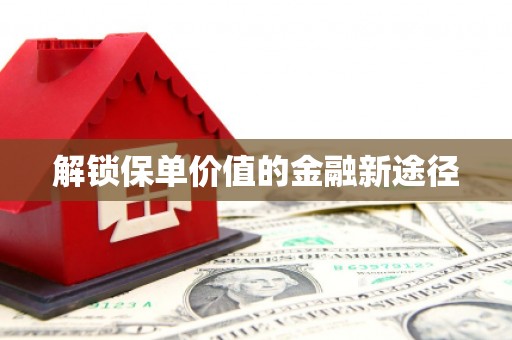 龙文解锁保单价值的金融新途径