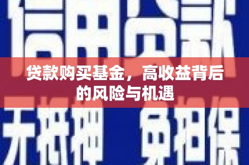龙文贷款购买基金，高收益背后的风险与机遇