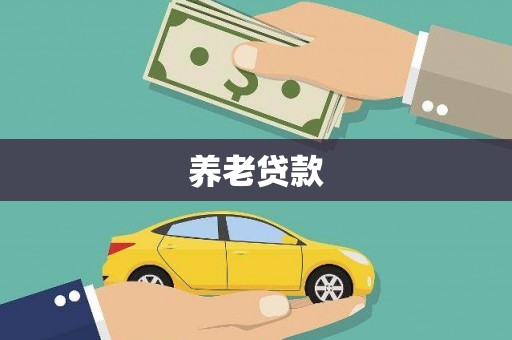 龙文养老贷款