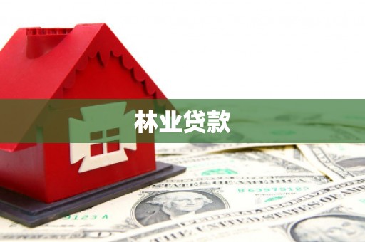 龙文林业贷款