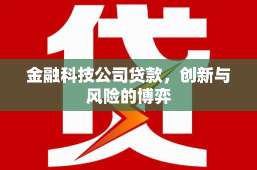 龙文金融科技公司贷款，创新与风险的博弈
