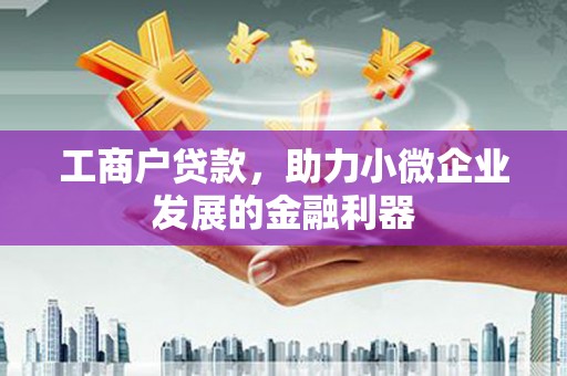 龙文工商户贷款，助力小微企业发展的金融利器