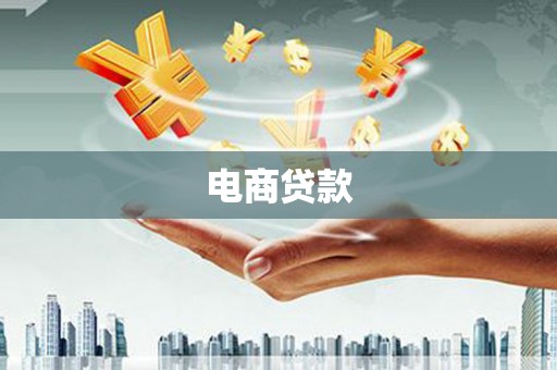 龙文电商贷款