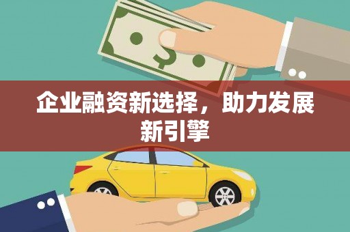 龙文企业融资新选择，助力发展新引擎