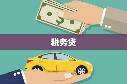 龙文税务贷