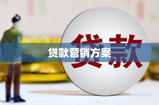 龙文贷款营销方案