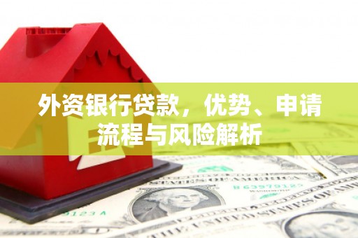 龙文外资银行贷款，优势、申请流程与风险解析