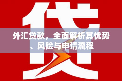 龙文外汇贷款，全面解析其优势、风险与申请流程