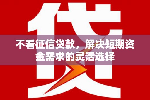 龙文不看征信贷款，解决短期资金需求的灵活选择