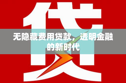 龙文无隐藏费用贷款，透明金融的新时代