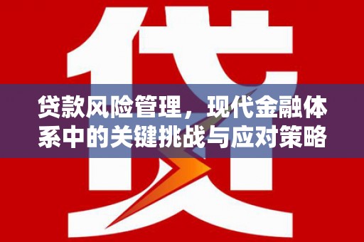 龙文贷款风险管理，现代金融体系中的关键挑战与应对策略