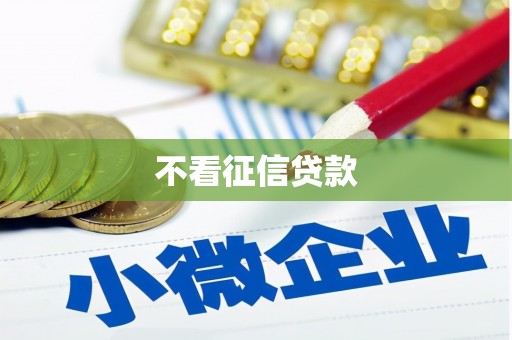 龙文不看征信贷款
