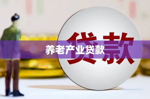 龙文养老产业贷款