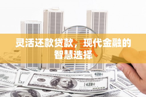 龙文灵活还款贷款，现代金融的智慧选择