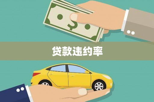 龙文贷款违约率