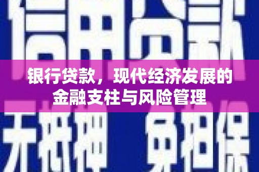 龙文银行贷款，现代经济发展的金融支柱与风险管理