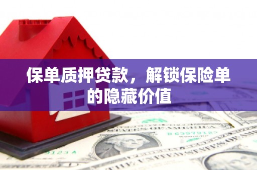 龙文保单质押贷款，解锁保险单的隐藏价值