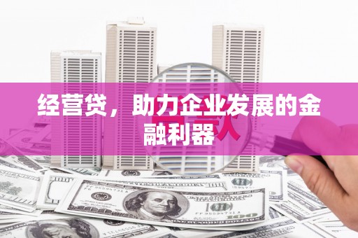 龙文经营贷，助力企业发展的金融利器