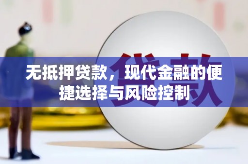 龙文无抵押贷款，现代金融的便捷选择与风险控制
