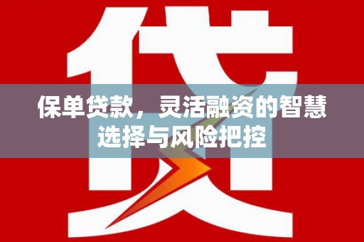 龙文保单贷款，灵活融资的智慧选择与风险把控