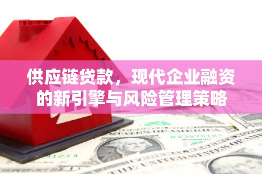 龙文供应链贷款，现代企业融资的新引擎与风险管理策略