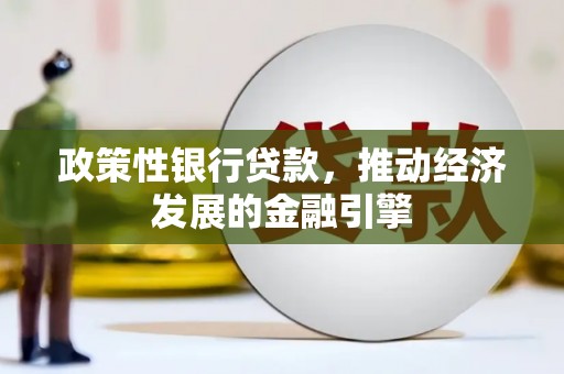 龙文政策性银行贷款，推动经济发展的金融引擎