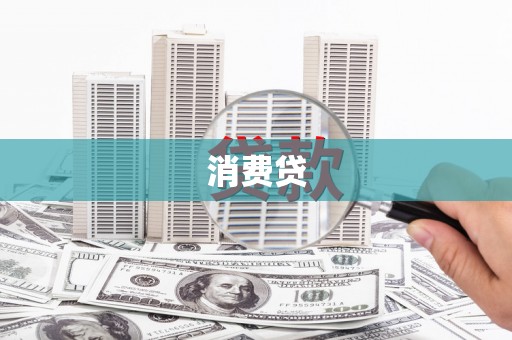 龙文消费贷