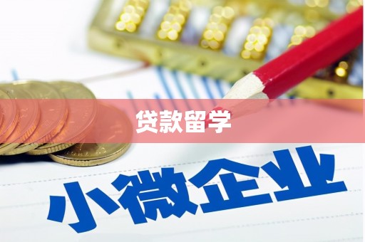 龙文贷款留学