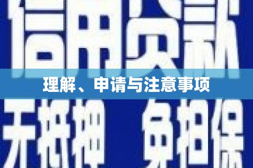 龙文理解、申请与注意事项