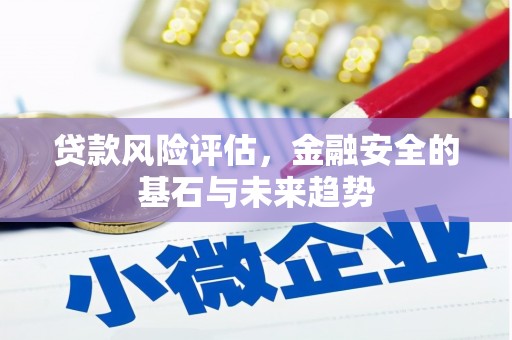 龙文贷款风险评估，金融安全的基石与未来趋势