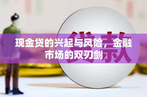 龙文现金贷的兴起与风险，金融市场的双刃剑
