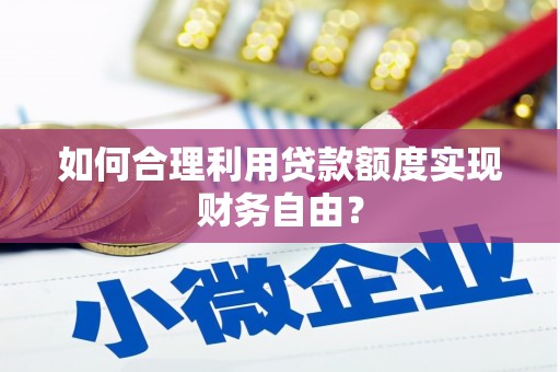 龙文如何合理利用贷款额度实现财务自由？