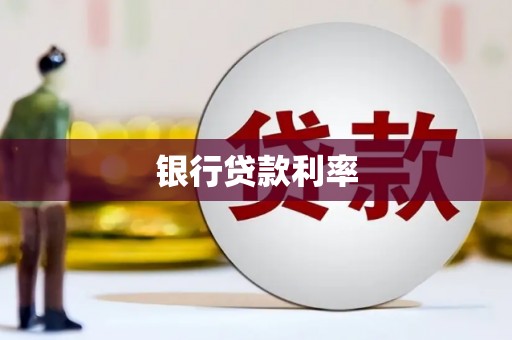 龙文银行贷款利率