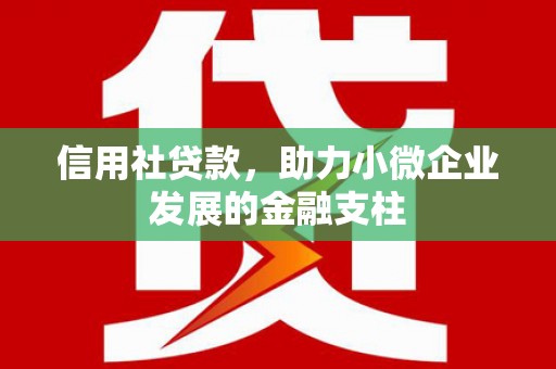 龙文信用社贷款，助力小微企业发展的金融支柱