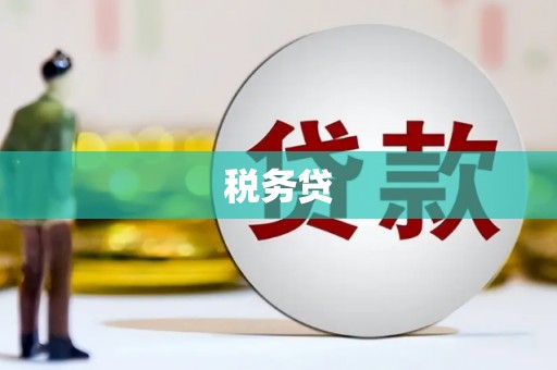 龙文税务贷
