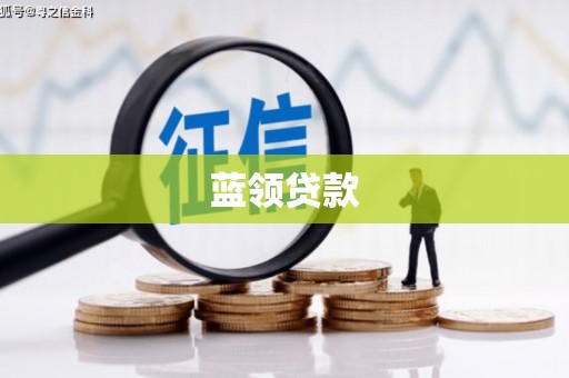 龙文蓝领贷款