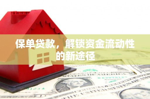 龙文保单贷款，解锁资金流动性的新途径