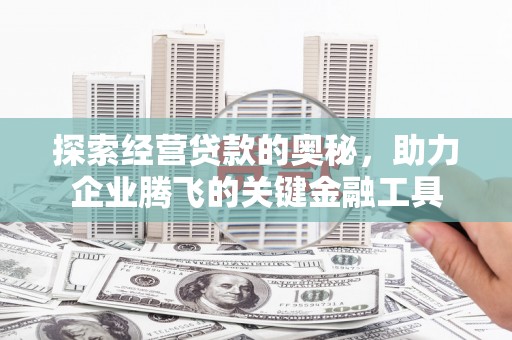 龙文探索经营贷款的奥秘，助力企业腾飞的关键金融工具