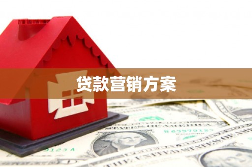龙文贷款营销方案